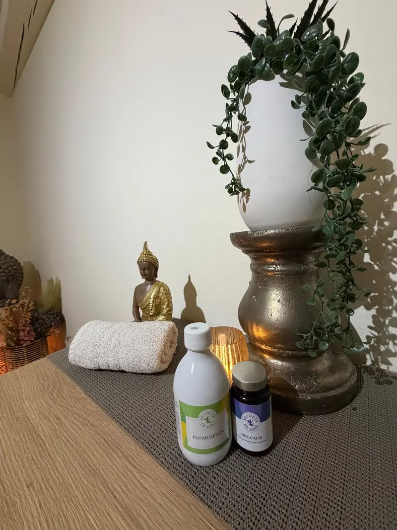 Plante retombante, bouddha doré et serviette roulée sur la commode