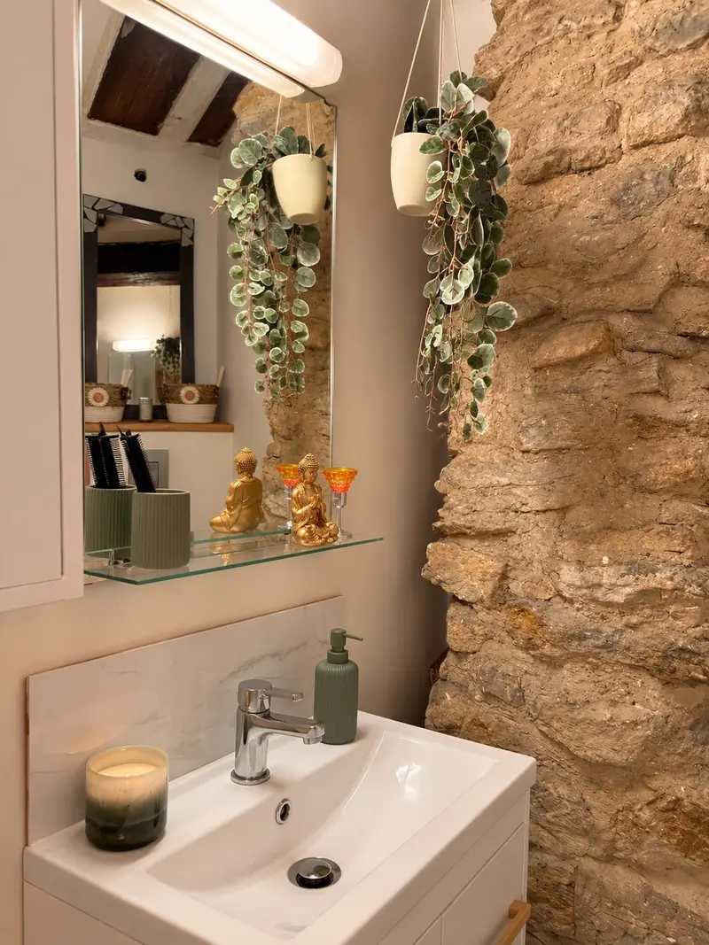 Vasque blanche, miroir et plantes dans la salle d’eau