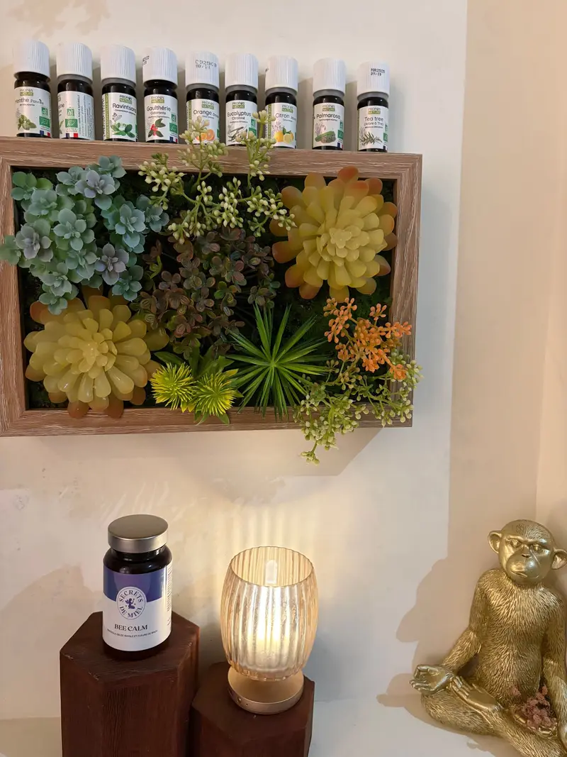 Tableau de plantes grasses au-dessus d’une lampe allumée et d’une statuette dorée